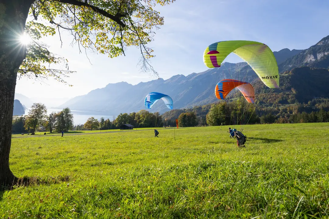 MOXIE-OZONE PARAGLIDER-003