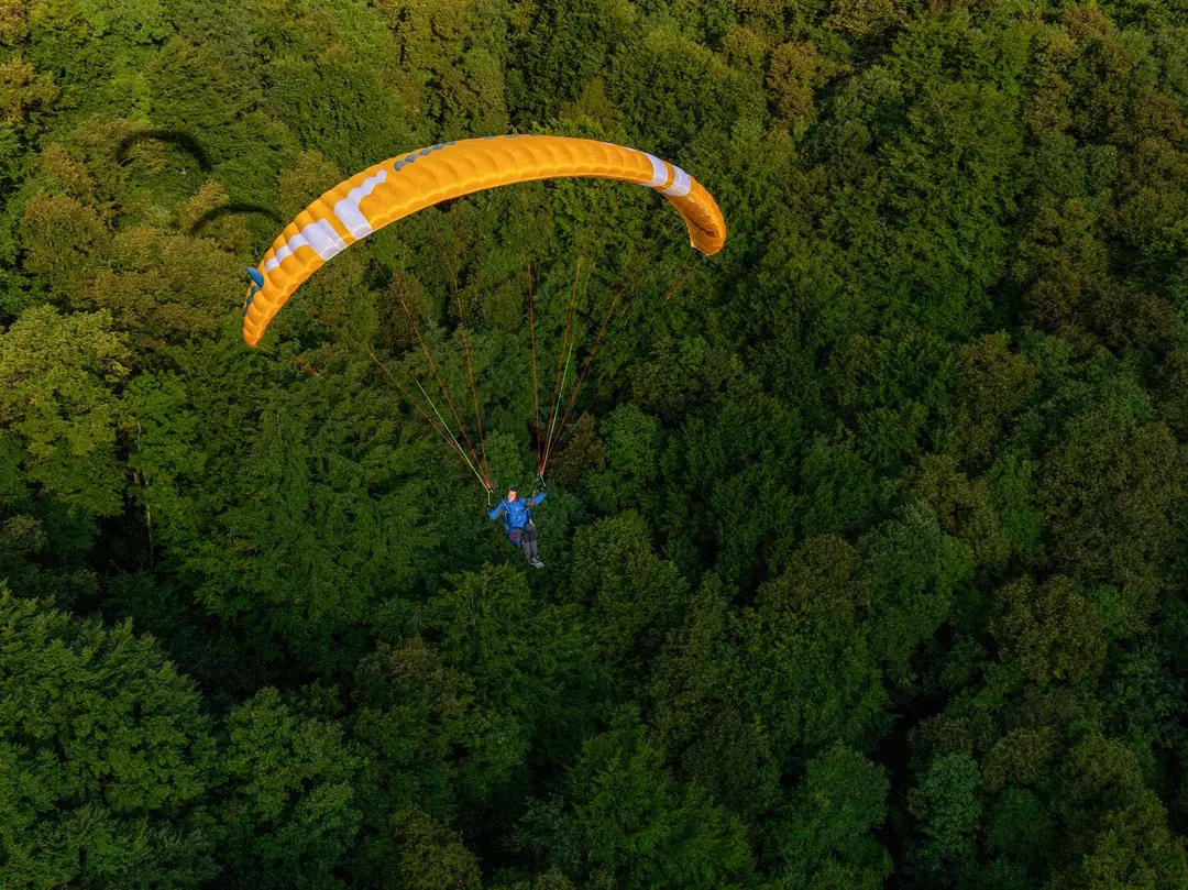 Alta -GT-OZONE-06